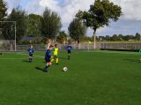 S.K.N.W.K. JO11-1JM - Colijnsplaatse Boys JO11-1 (competitie) seizoen 2022-2023 (najaar - 1e fase)) (32/69)